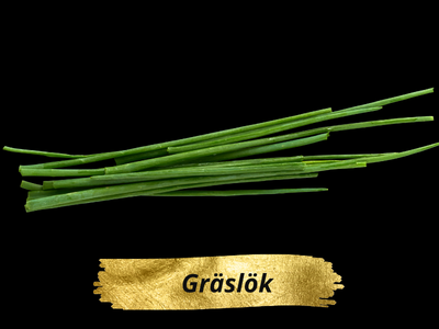 Gräslök