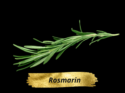 Rosmarin