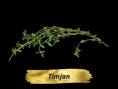 Timjan