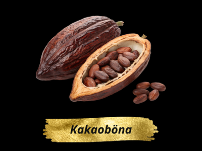 Kakaoböna