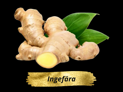 Ingefära