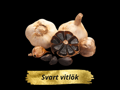 Svart vitlök