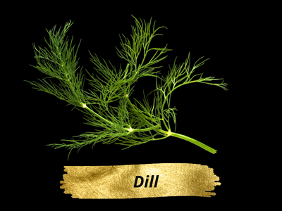 Dill