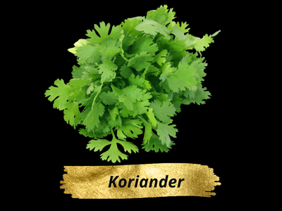 Koriander
