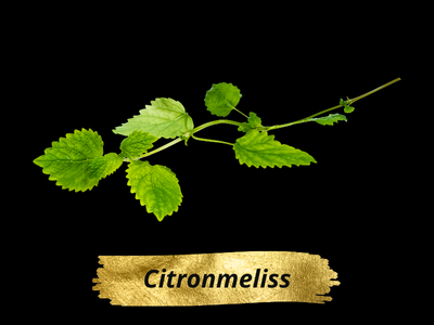 Citronmelis